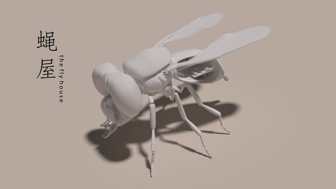 Fly House 3D model render