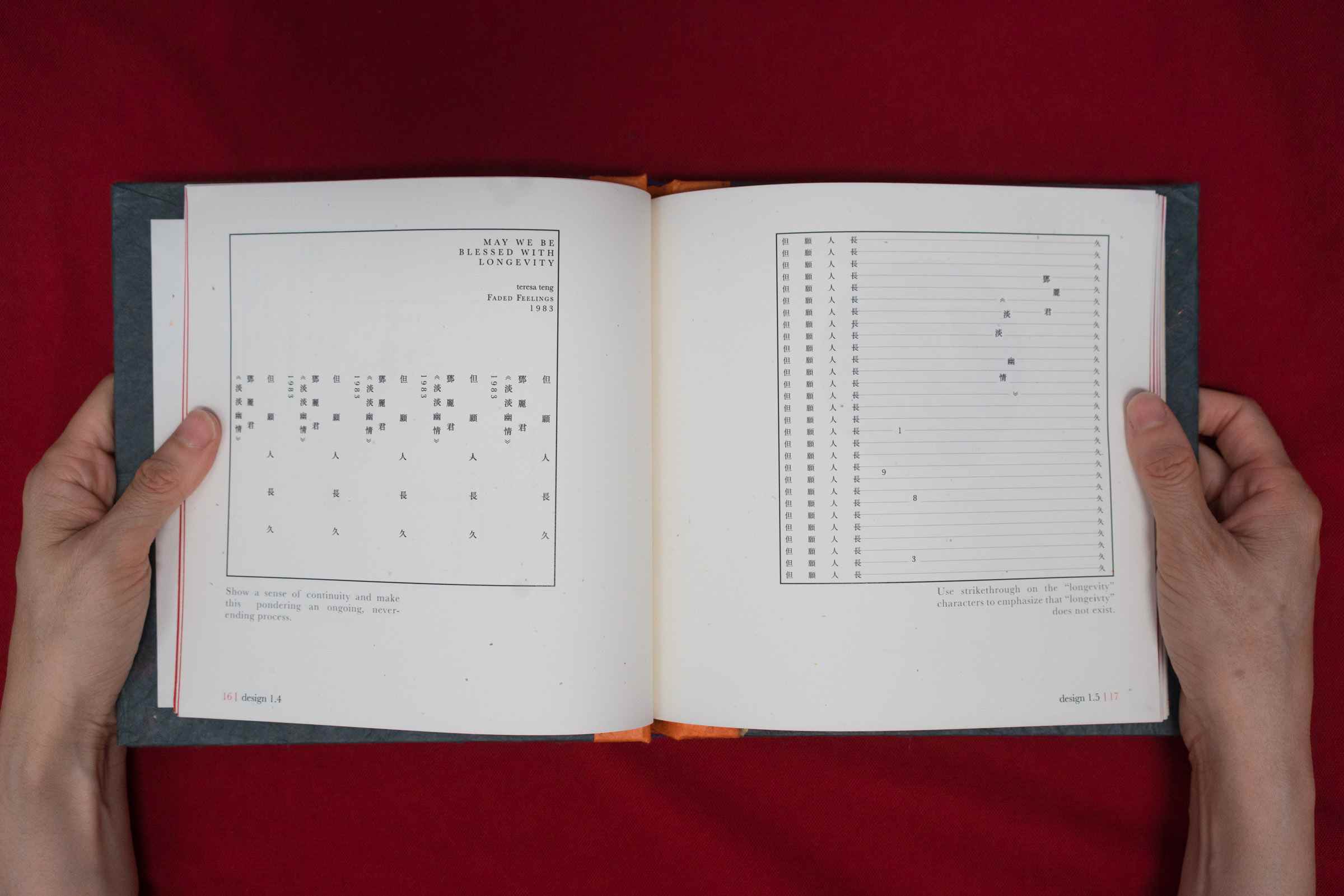 Documentation of printed typography book